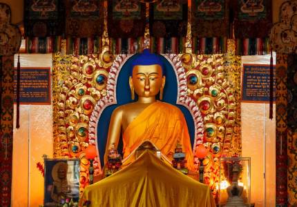 Dharamshala Palampur Tour with Amritsar